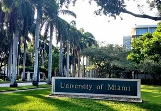 135726 University Of Miami.webp